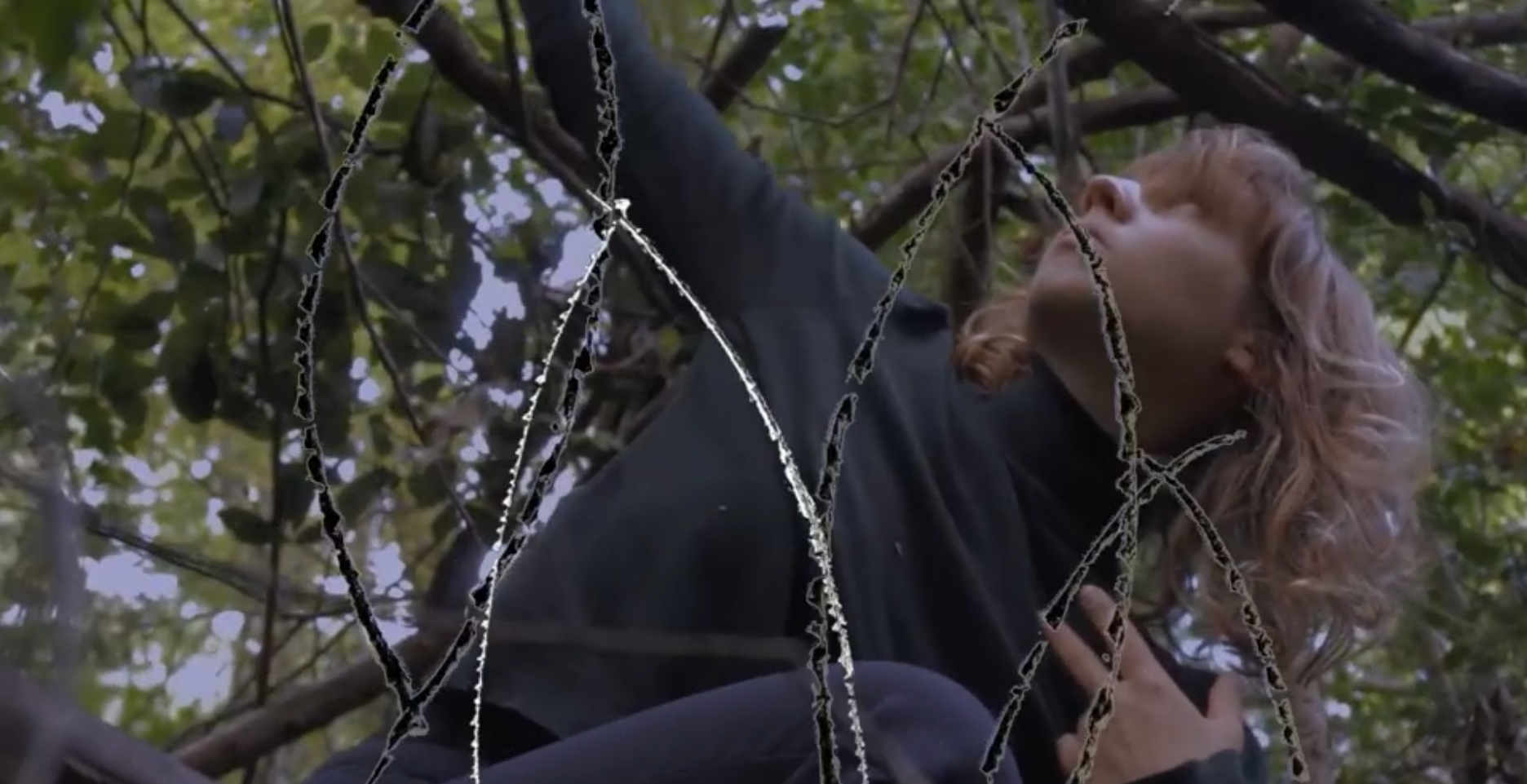 There’s much more to Artstor than images